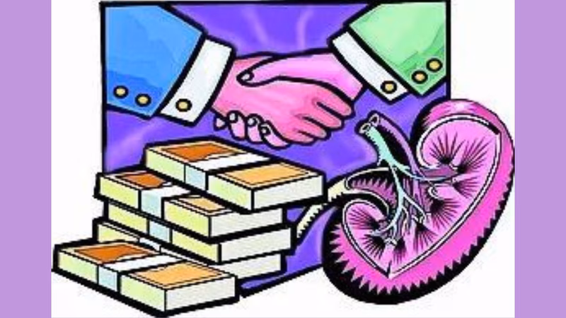 Maharashtra: SIT probe finds China link to kidney racket