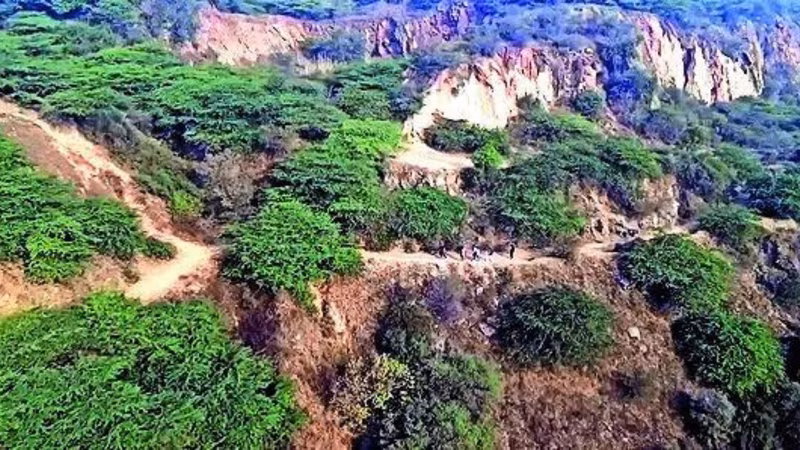 SC saved Aravalis for 20 yrs, and PMO on two occasions; experts slam new report