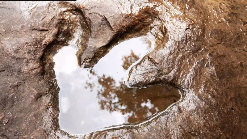 Scientists found more than 16,000 dinosaur footprints underwater in Bolivia