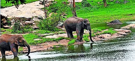 Aravalli-like row in Bengaluru: SC panel to visit on Friday