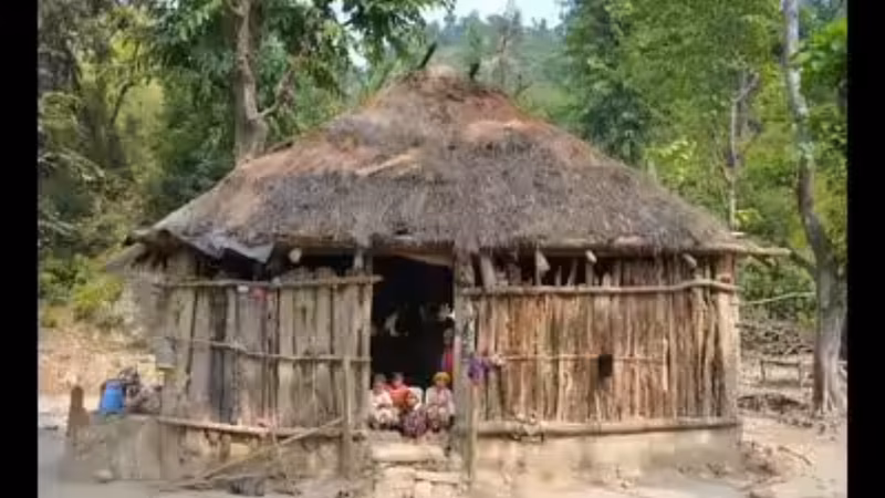 High Court lets Van Gujjars cultivate near reserve forests, bars commercial activity