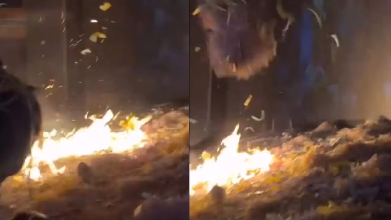 Watch: Fire breaks out in cinema hall in Odisha; major mishap averted