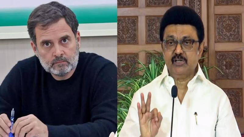 No Rahul-Stalin in Tamil Nadu? DMK rejects Cong‘s 'sharing power’ proposal