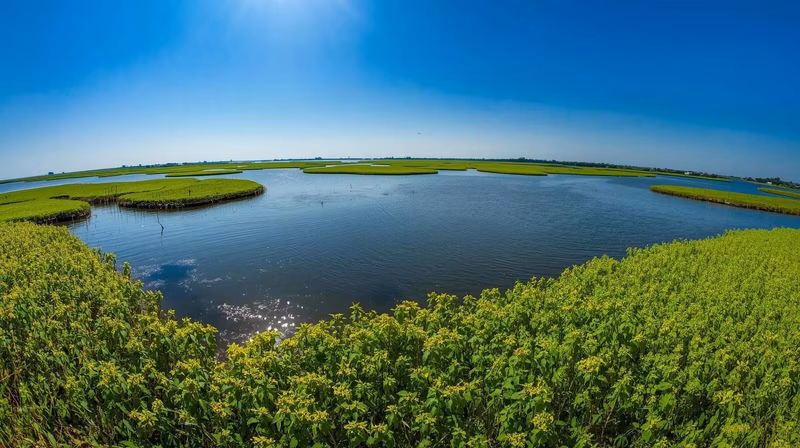 India has the world's only floating national park: Know in which state