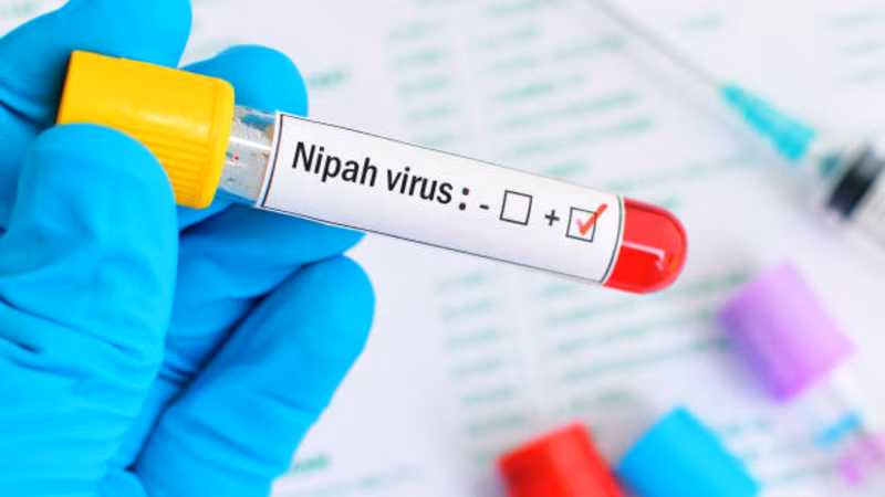 Nipah virus in India: As cases emerge from West Bengal, doctor shares dos and don'ts to stay safe
