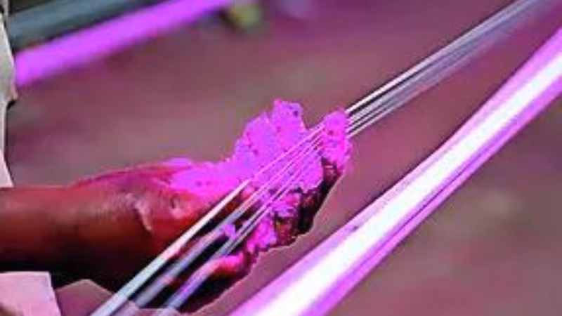 Doc among 3 killed by Chinese manja on Makar Sankranti